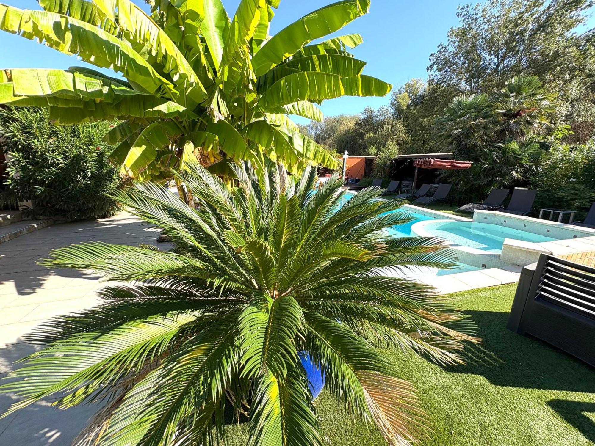 Bed & Breakfast Le Patio34